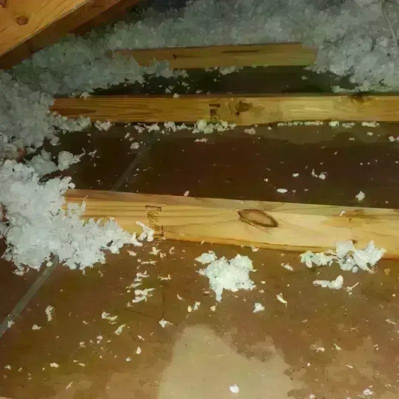 Attic Water Damage in Oglethorpe, GA