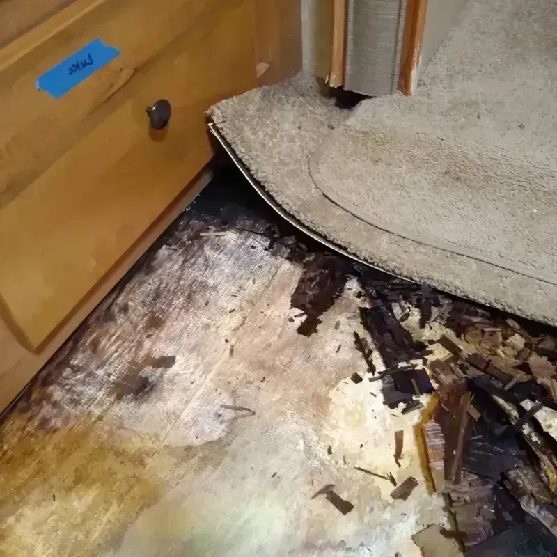 Best Wood Floor Water Damage Service in Oglethorpe, GA